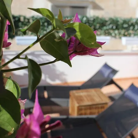 Pollio アナカプリ