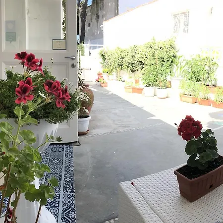 Pollio Anacapri (Isola di Capri)