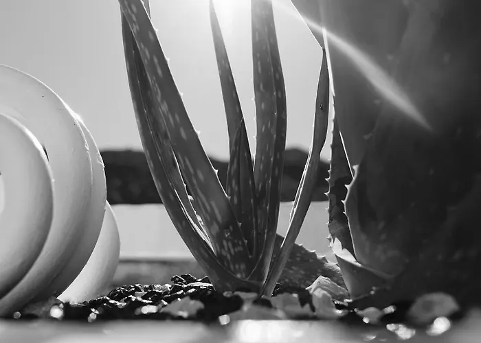 Guest house Pollio Anacapri (Isola di Capri)