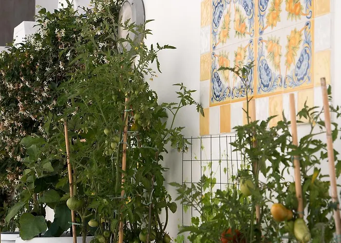 Pollio 4* Anacapri (Isola di Capri)