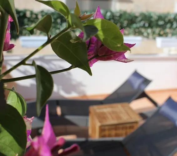 Pollio אנה קאפרי