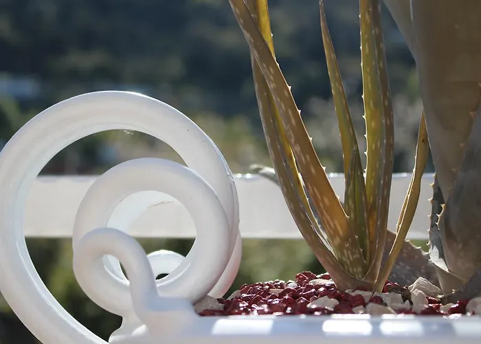 בית הארחה Pollio